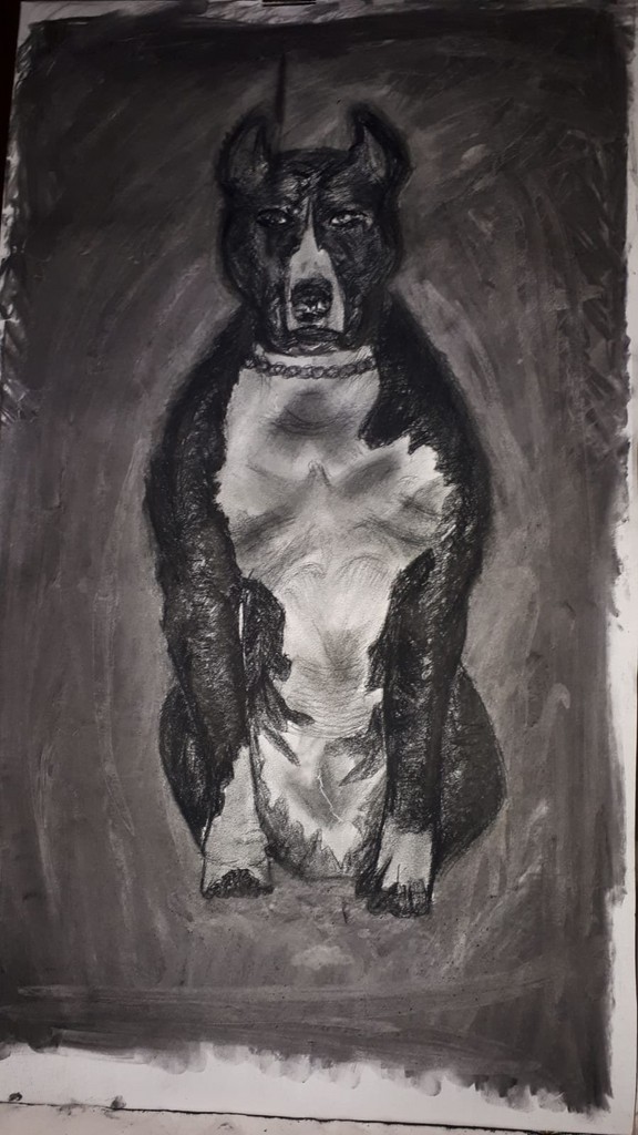 sorry man we are very poor in Chernovitsy oblast any offer is for our food 